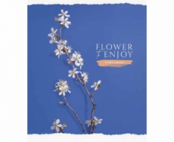 Зошит 60 л = лінія Star Flower vibes 2919 Л