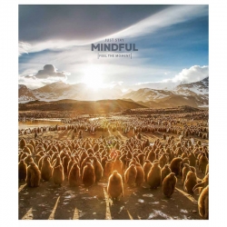Зошит 60 л = до лінії Школярик 2978 Л Mindful