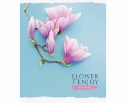 Зошит 60 л = лінія Star Flower vibes 2919 Л