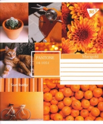 Зошит 60 л. # клітинка "Collage Pantone" 765041 