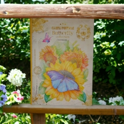 Блокнот А5 80арк.,# клітинка, "Butterfly".