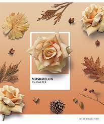 Зошит 60 л. = лінія 060-2762L Color collection  Школярик