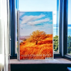Зошит А4/80л ʺStudentʺ спіраль,клітинка 8748