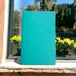 Щоденник блакитний 21*13,5см 12465