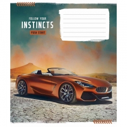 Зошит 12 л # в клітинку Школярик 2958 Instincts