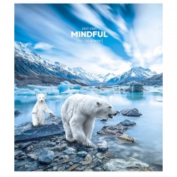 Зошит 60 л = до лінії Школярик 2978 Л Mindful