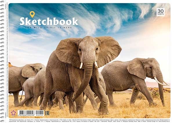 Альбом для малювання "elephants", спіраль, А4, 30л.